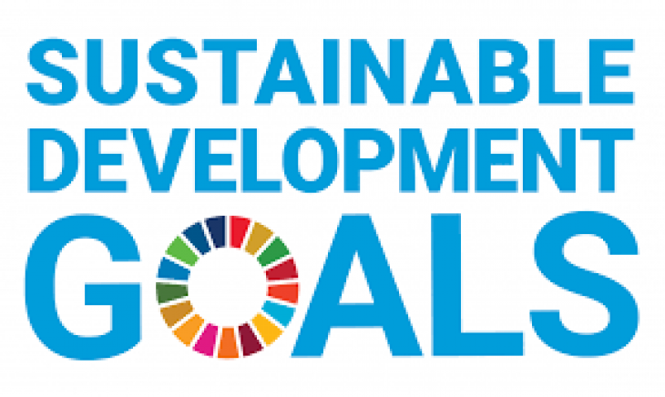 Monitoraggio SDGs: forti disuguaglianze tra gli Stati membri